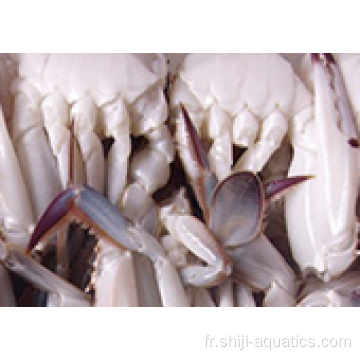 Crabe coupé surgelé